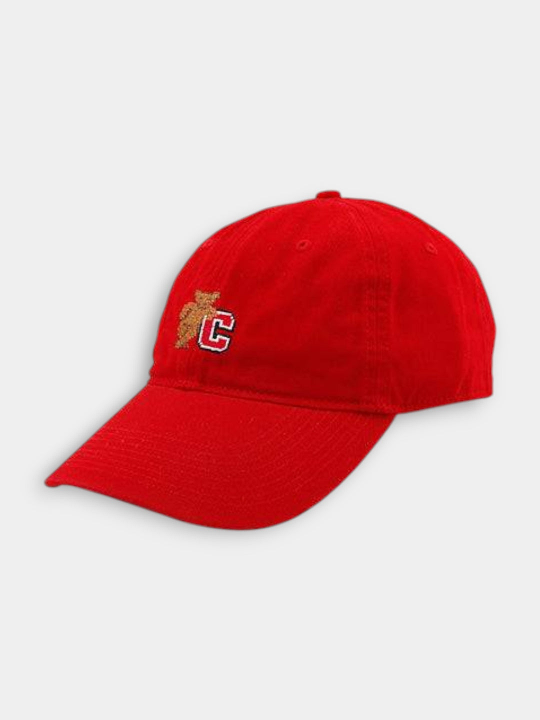 Smathers & Branson Cornell Needlepoint Hat