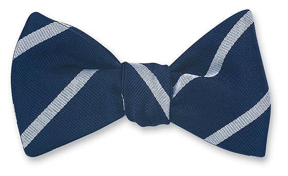 R. Hanauer Buckingham Stripe Bow Tie